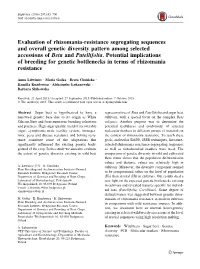 Evaluation of Rhizomania-Resistance Segregating Sequences and Overall Genetic Diversity Pattern Among Selected Accessions of Beta and Patellifolia