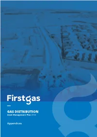 GAS DISTRIBUTION Asset Management Plan 2018