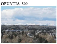 OPUNTIA 500 Middle May 2021