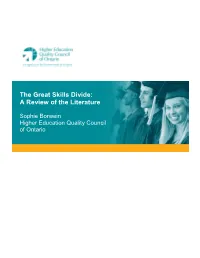 The Great Skills Divide: a Review of the Literature