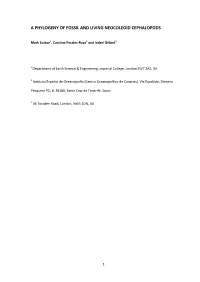 A Phylogeny of Fossil and Living Neocoleoid Cephalopods