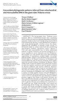 Concordant Phylogenetic Patterns Inferred from Mitochondrial and Microsatellite DNA in the Giant Clam Tridacna Crocea