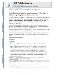 Cortical Neural Stem Cell Lineage Progression Is Regulated by Extrinsic Signaling Molecule Sonic Hedgehog