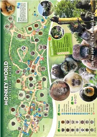 The Monkey World Leaflet &