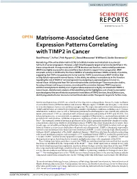 Matrisome-Associated Gene Expression Patterns Correlating with TIMP2 in Cancer David Peeney1*, Yu Fan2, Trinh Nguyen 2, Daoud Meerzaman2 & William G