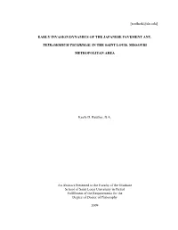 Early Invasion Dynamics of the Japanese Pavement Ant