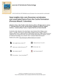 New Insights Into Late Devonian Vertebrates and Associated Fauna from the Cuche Formation (Floresta Massif, Colombia)