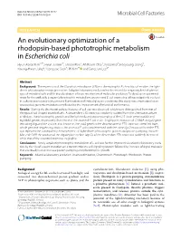 An Evolutionary Optimization of a Rhodopsin-Based Phototrophic
