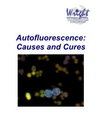 Autofluorescence: Causes and Cures
