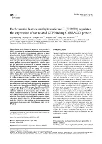 Euchromatin Histone Methyltransferase II (EHMT2) Regulates the Expression of Ras-Related GTP Binding C (RRAGC) Protein