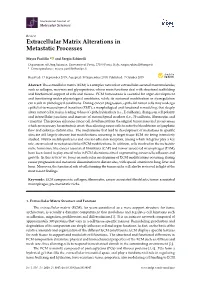 Extracellular Matrix Alterations in Metastatic Processes