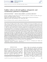 Ladder Webs in Orb-Web Spiders: Ontogenetic and Evolutionary Patterns in Nephilidae