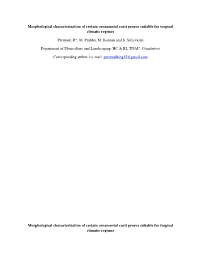 Morphological Characterization of Certain Ornamental Cacti Genera Suitable for Tropical Climatic Regimes