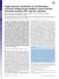 Single-Molecule Visualization of Saccharomyces Cerevisiae Leading-Strand Synthesis Reveals Dynamic Interaction Between MTC and the Replisome