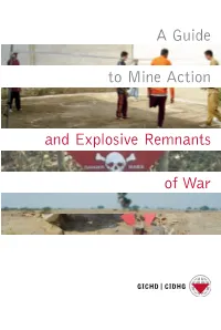 A Guide to Mine Action and Explosive Remnants of War,Third Edition, GICHD, Geneva, April 2007