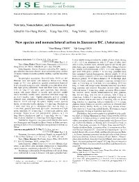 Notes on Elatostema Section Androsyce Wedd. (Urticaceae)