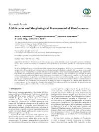 A Molecular and Morphological Reassessment of Diademaceae