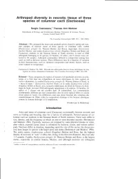 Arthropod Diversity in Necrotic Tissue of Three Species of Columnar Cacti (Gactaceae)