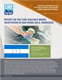 Cure Violence Using a Health Approach