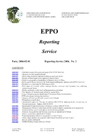 Reporting Service 2006, No