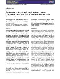 Syntrophic Butyrate and Propionate Oxidation Processes 491