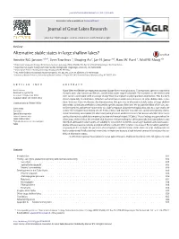Alternative Stable States in Large Shallow Lakes?