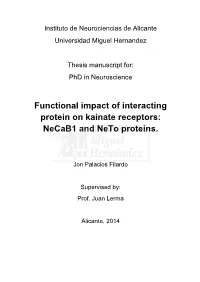 Functional Impact of Interacting Protein on Kainate Receptors: Necab1 and Neto Proteins
