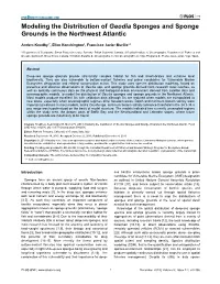 Modeling the Distribution of Geodia Sponges and Sponge Grounds in the Northwest Atlantic