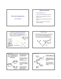 Molecular Phylogenetics Next Two Lectures
