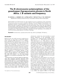 The B Chromosome Polymorphism of the Grasshopper Eyprepocnemis Plorans in North Africa. I. B Variants and Frequency