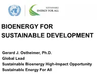 Bioenergy for Sustainable Development
