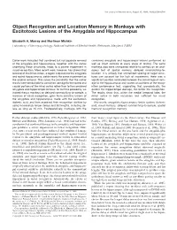 Object Recognition and Location Memory in Monkeys with Excitotoxic Lesions of the Amygdala and Hippocampus