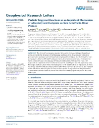 Particle Triggered Reactions As an Important Mechanism of Alkalinity