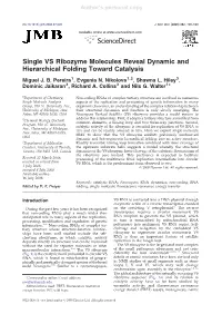 Single VS Ribozyme Molecules Reveal Dynamic and Hierarchical Folding Toward Catalysis