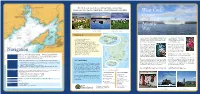 Navigation West Cork: Cruise the Wild Atlantic