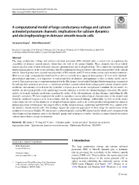 A Computational Model of Large Conductance Voltage and Calcium