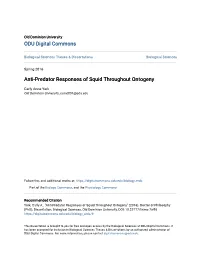Anti-Predator Responses of Squid Throughout Ontogeny