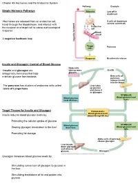Chapter 45-Hormones and the Endocrine System Pathway Example – Simple Hormone Pathways Stimulus Low Ph in Duodenum