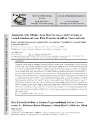 Assessment of the Effects of Some Bacterial Isolates and Hormones on Corm Formation and Some Plant Properties in Saffron (Crocus Sativus L.)