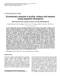 Evolutionary Analysis of Gorilla, Chimps and Humans Using Sequence Divergence