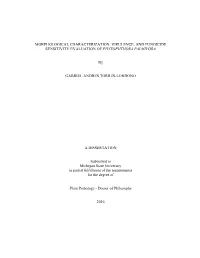 MORPHOLOGICAL CHARACTERIZATION, VIRULENCE, and FUNGICIDE SENSITIVITY EVALUATION of PHYTOPHTHORA PALMIVORA by GABRIEL ANDRES TORR