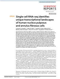 Single-Cell RNA-Seq Identifies Unique Transcriptional Landscapes Of