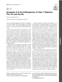 Granzyme a in the Pathogenesis of Type 1 Diabetes: the Yes and the No