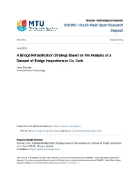 A Bridge Rehabilitation Strategy Based on the Analysis of a Dataset of Bridge Inspections in Co. Cork