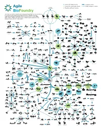 ABF Metabolic Map 15