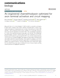 An Engineered Channelrhodopsin Optimized for Axon Terminal Activation and Circuit Mapping