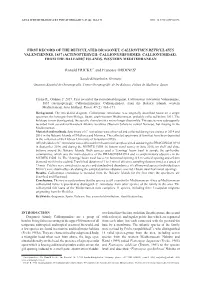 First Record of the Reticulated Dragonet, Callionymus Reticulatus