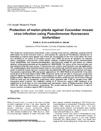 Protection of Melon Plants Against Cucumber Mosaic Virus Infection Using Pseudomonas Fluorescens Biofertilizer