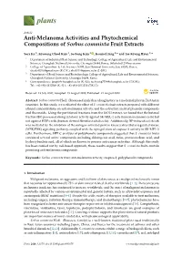 Anti-Melanoma Activities and Phytochemical Compositions of Sorbus Commixta Fruit Extracts