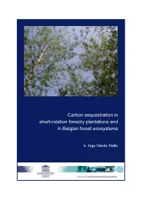 Carbon Sequestration in Short-Rotation Forestry Plantations and in Belgian Forest Ecosystems